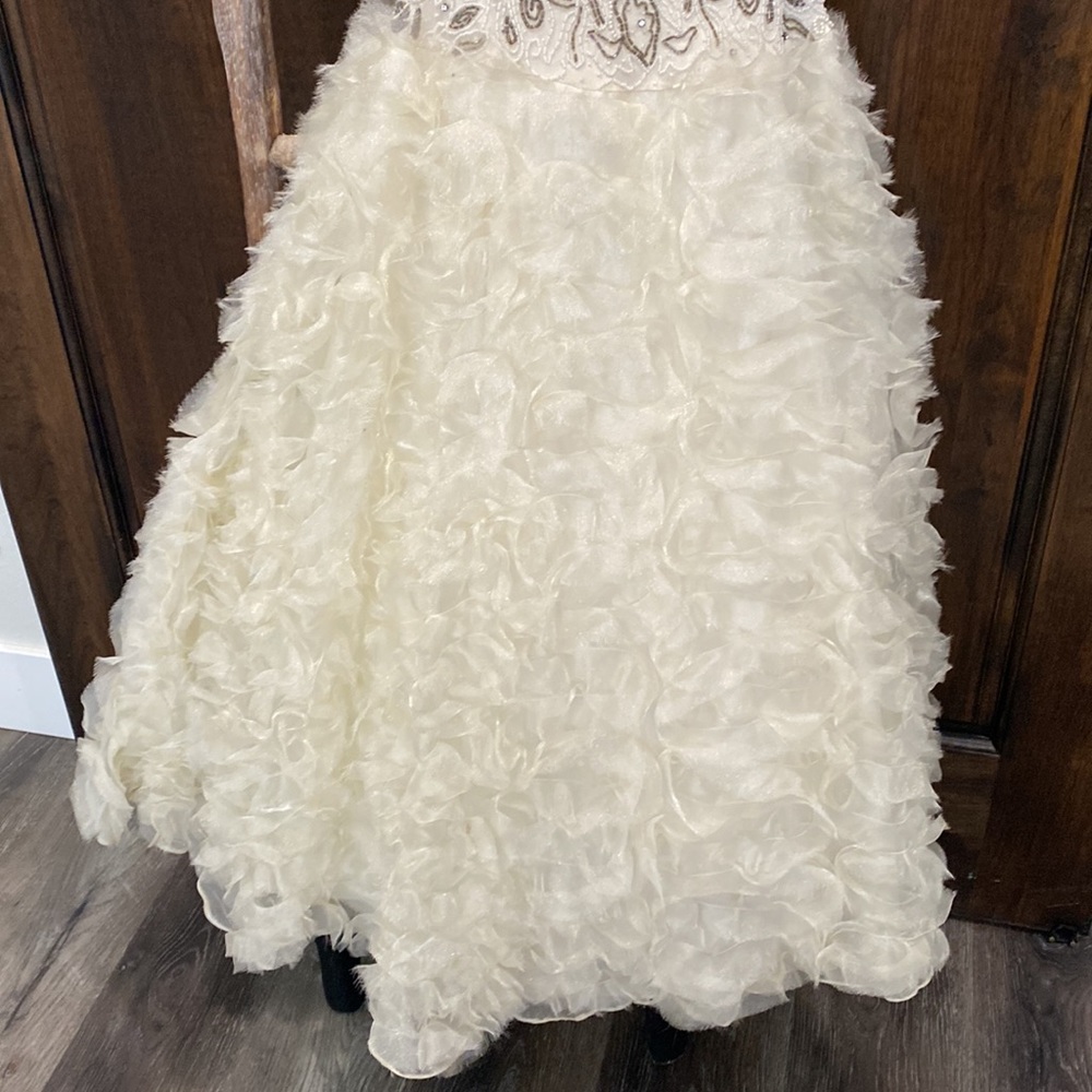 Sue Wong Silk Beaded Wedding Dress - Picture 4 of 16